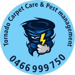 Tornado Carpet Care
